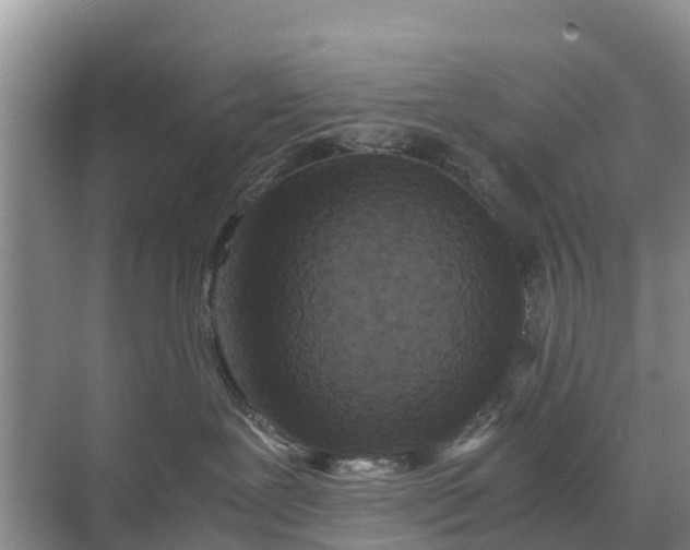 X0000071760239200607150010