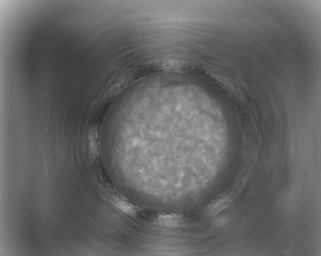 X0000071760240200607150010