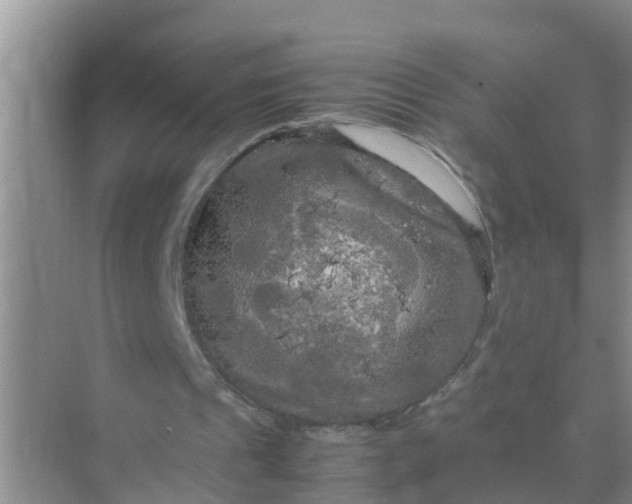 X0000071760241200607150009