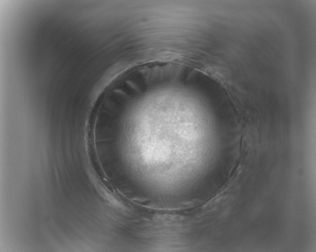 X0000071760242200607150009