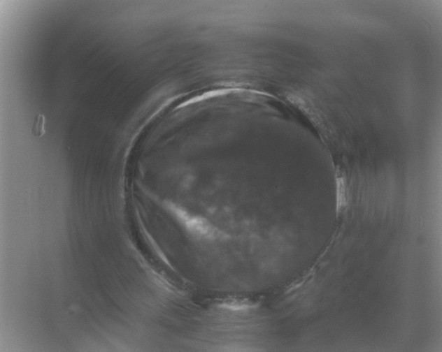 X0000071760243200607150009