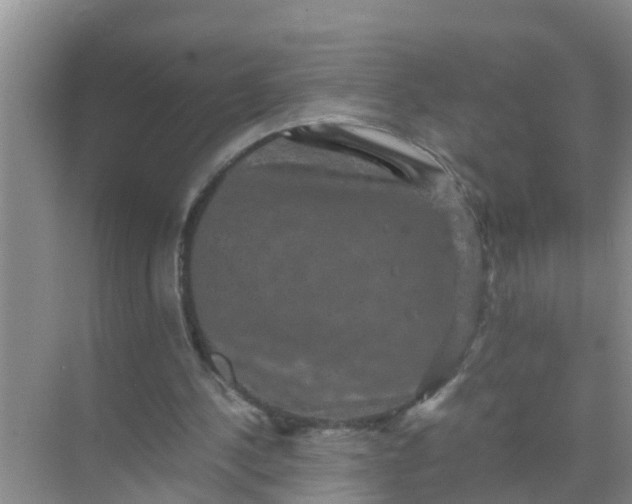 X0000071760244200607150009