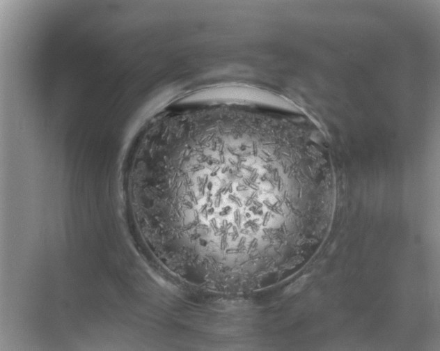 X0000071760245200607150010