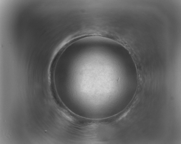 X0000071760246200607150010