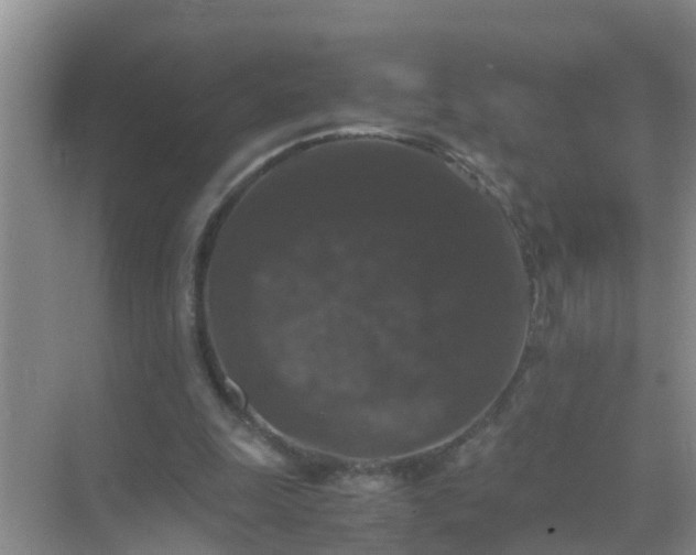 X0000071760247200607150010