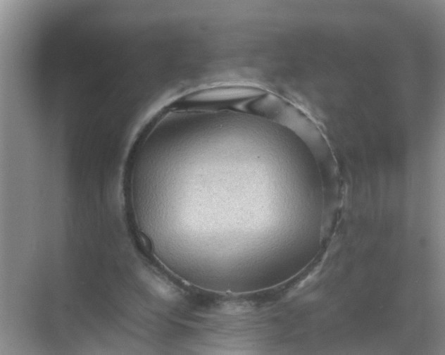 X0000071760248200607150010