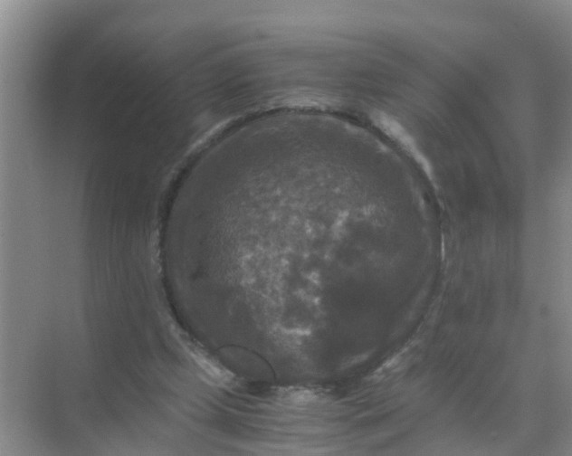 X0000071760249200607150010