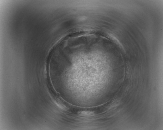 X0000071760251200607150010