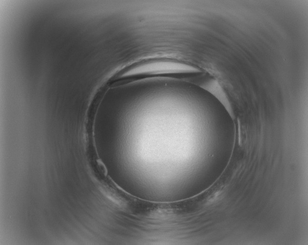 X0000071760252200607150010