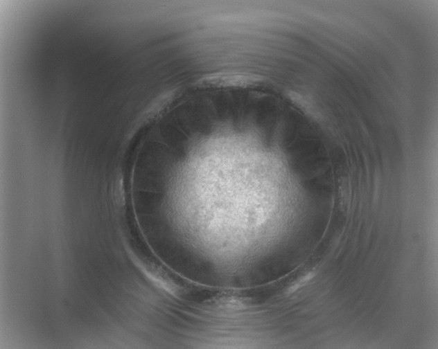 X0000071760254200607150010