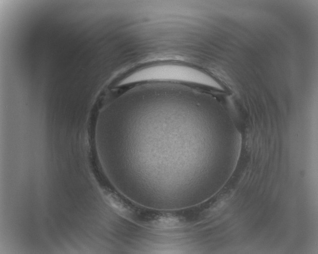 X0000071760256200607150010