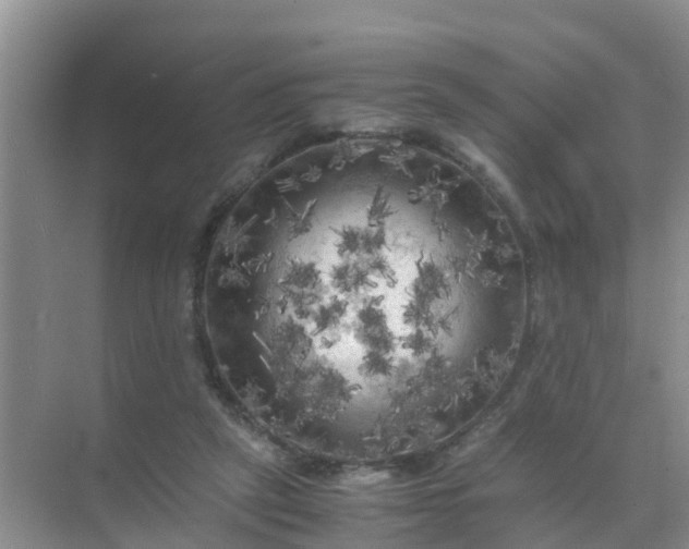 X0000071760257200607150010