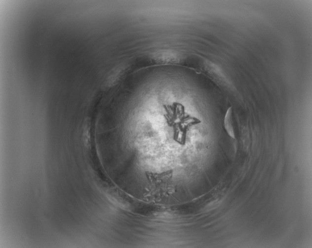 X0000071760259200607150010