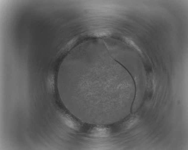 X0000071760260200607150010