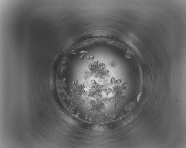 X0000071760261200607150010