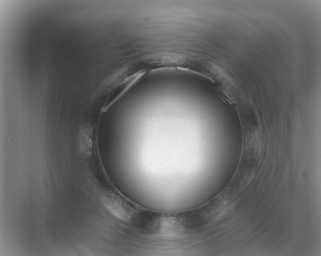 X0000071760264200607150010