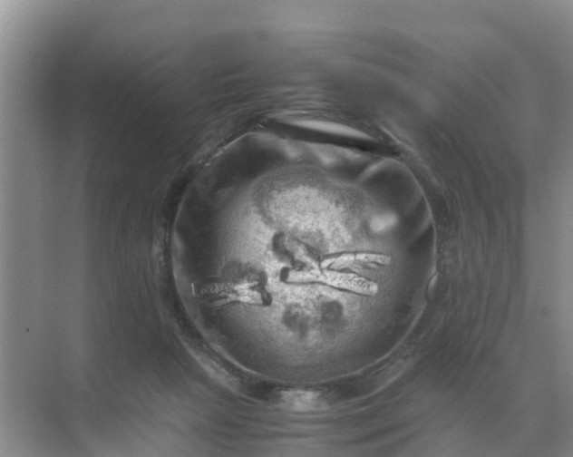 X0000071760265200607150010