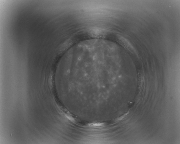 X0000071760266200607150010