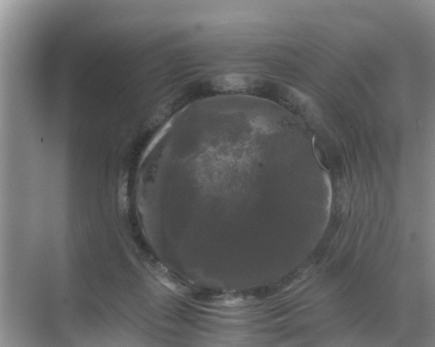 X0000071760267200607150010