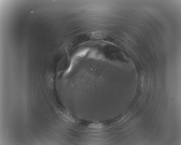 X0000071760271200607150010