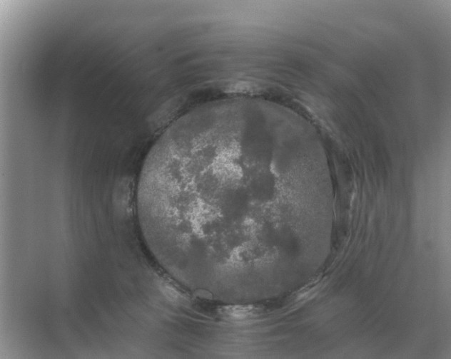 X0000071760273200607150010