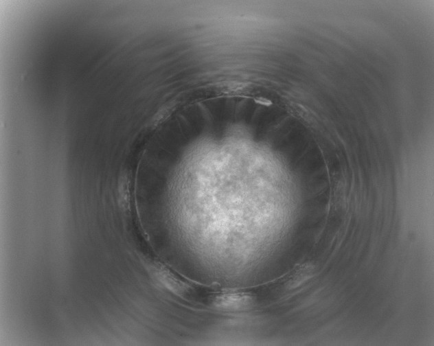 X0000071760274200607150010