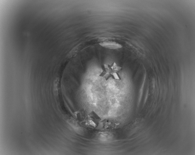 X0000071760275200607150010