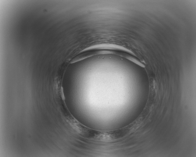 X0000071760276200607150010