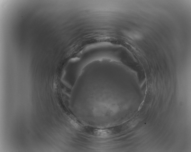 X0000071760277200607150010