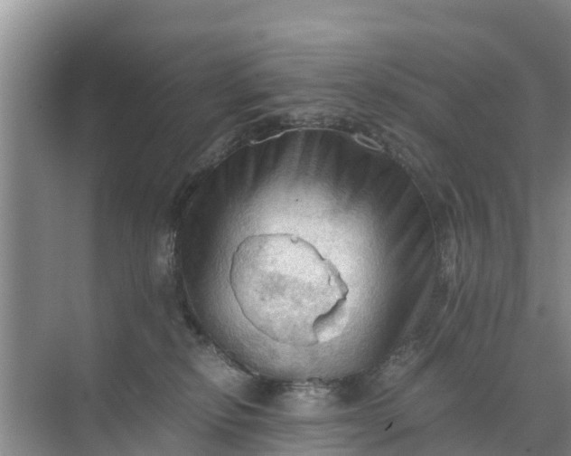 X0000071760278200607150010