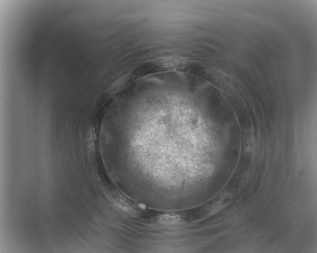 X0000071760279200607150010