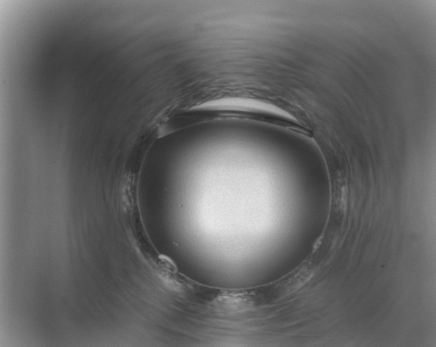 X0000071760280200607150010