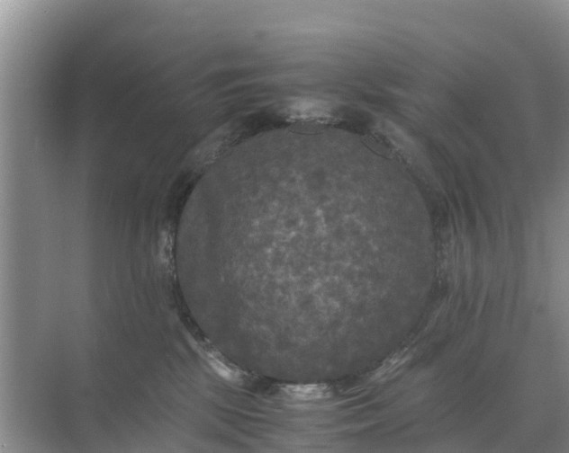 X0000071760281200607150010