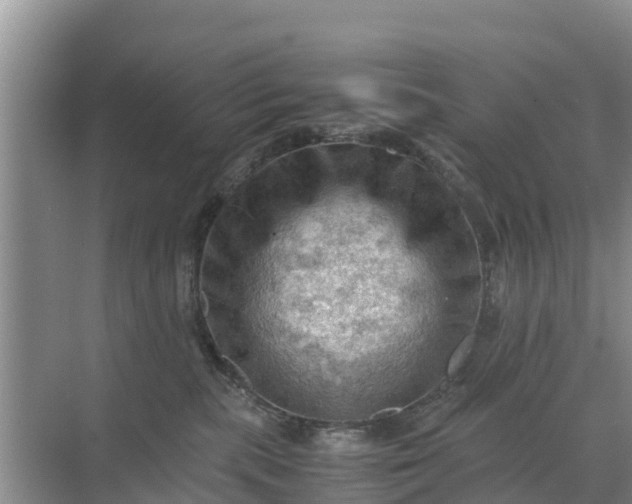 X0000071760283200607150010