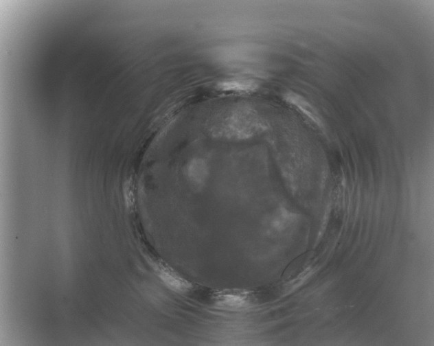 X0000071760285200607150010