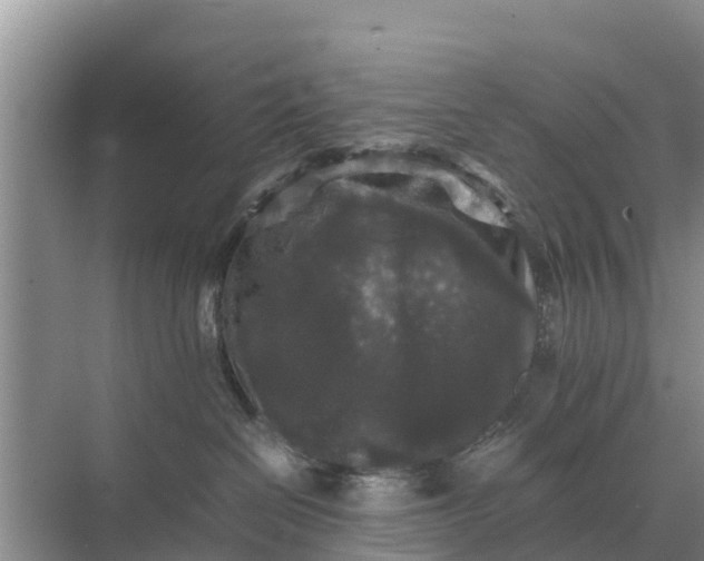 X0000071760286200607150010