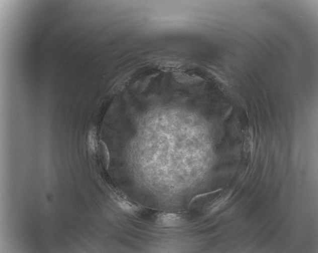 X0000071760287200607150010