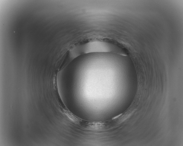 X0000071760288200607150010