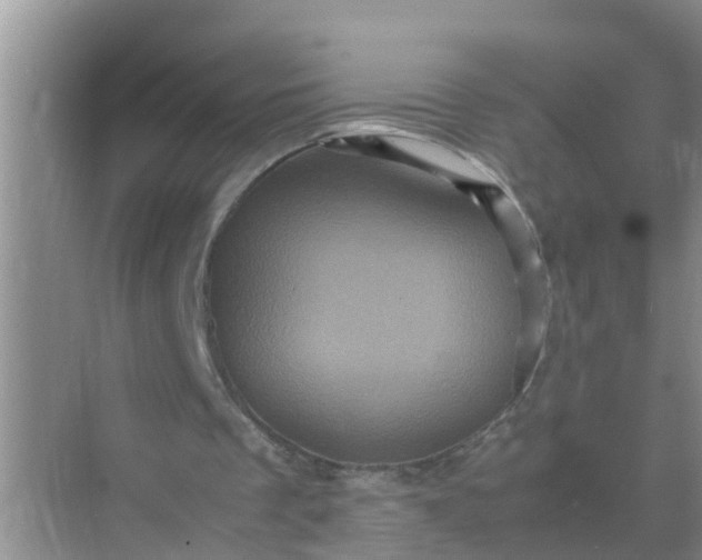 X0000071760289200607150009