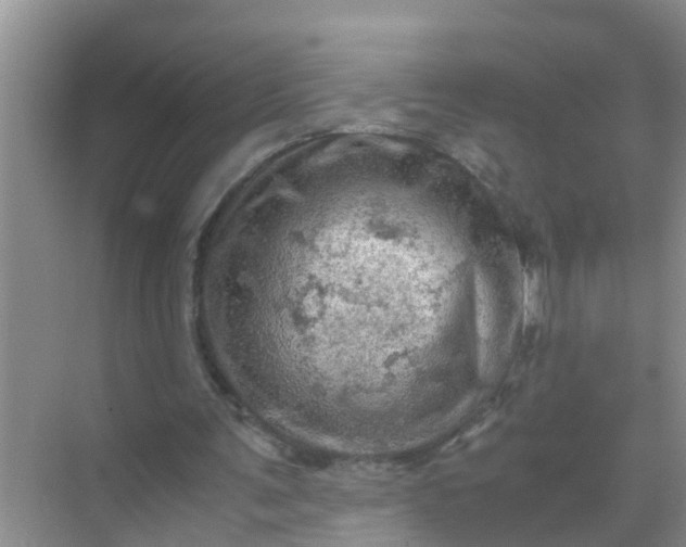 X0000071760291200607150009