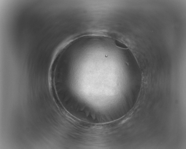 X0000071760294200607150009