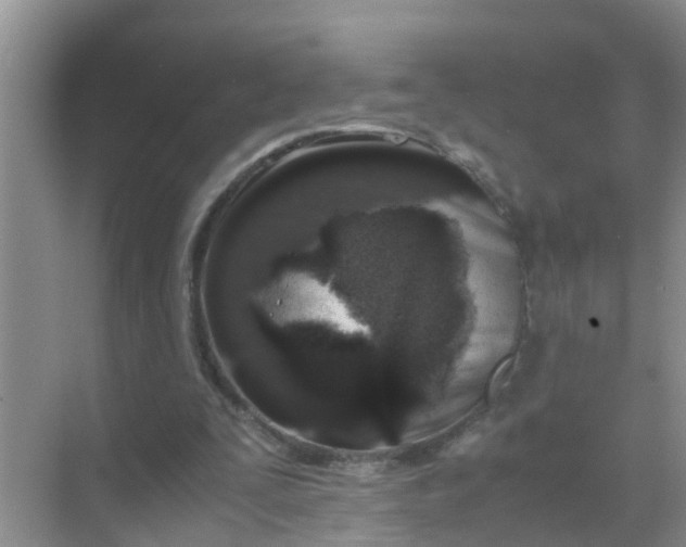 X0000071760295200607150009