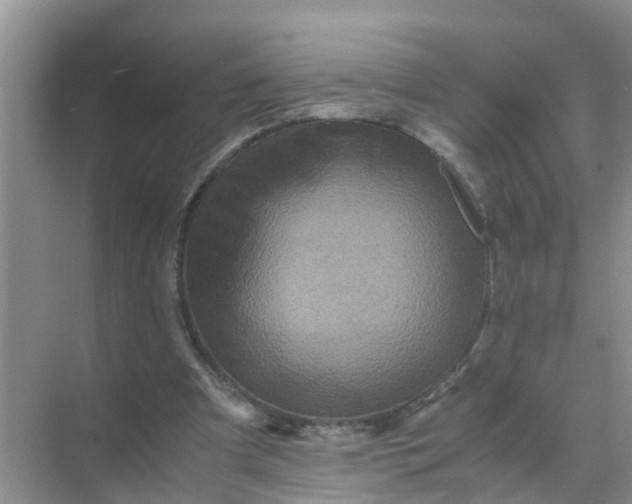 X0000071760297200607150009