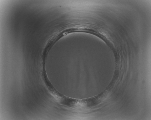 X0000071760303200607150009