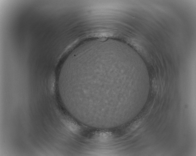 X0000071760304200607150009