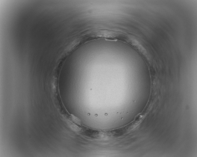 X0000071760305200607150009