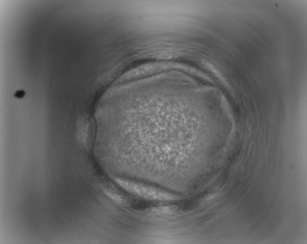 X0000071760307200607150009