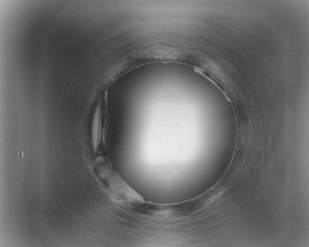 X0000071760309200607150009