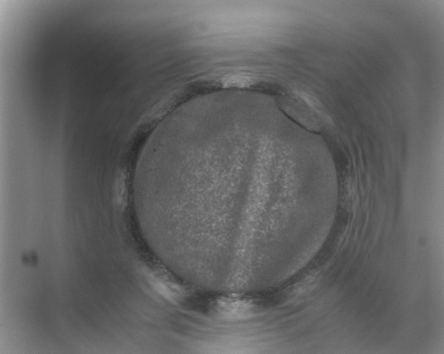 X0000071760311200607150009