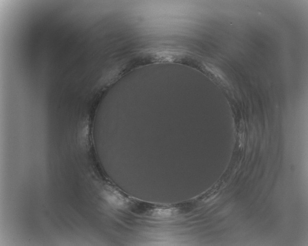 X0000071760314200607150009